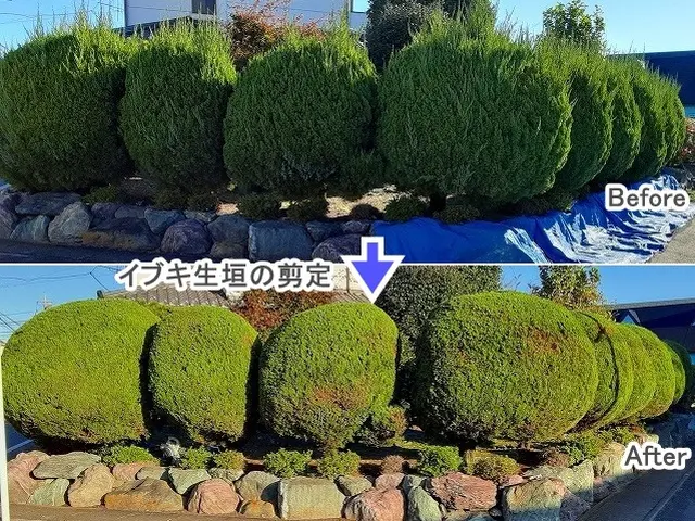 ★丁寧な仕事で安心！【３連続入賞店★口コミ好評】◆高崎の植木屋★空き日1/10～サービスの画像