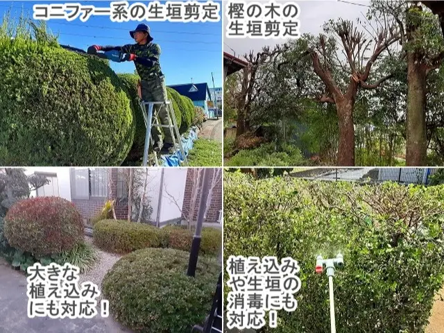 ★丁寧な仕事で安心！【３連続入賞店★口コミ好評】◆高崎の植木屋★空き日1/10～サービスの画像