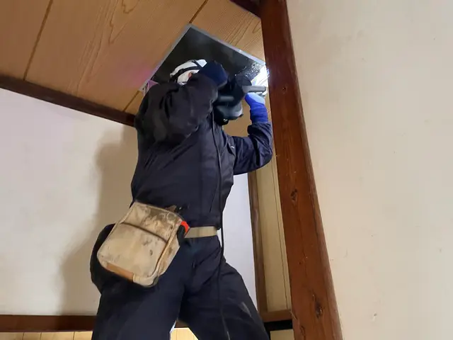 害獣駆除 / ハクビシン・アライグマ・イタチ駆除・ネズミサービスの画像