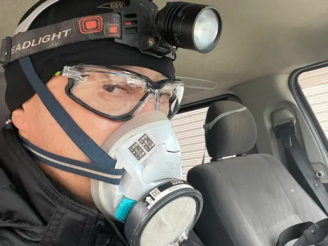 害獣駆除 / ハクビシン・アライグマ・イタチ駆除・ネズミサービスの画像