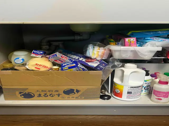 お片付けもらくだ♪心もらくだ♪らくだ収納　土日祝対応サービスの画像