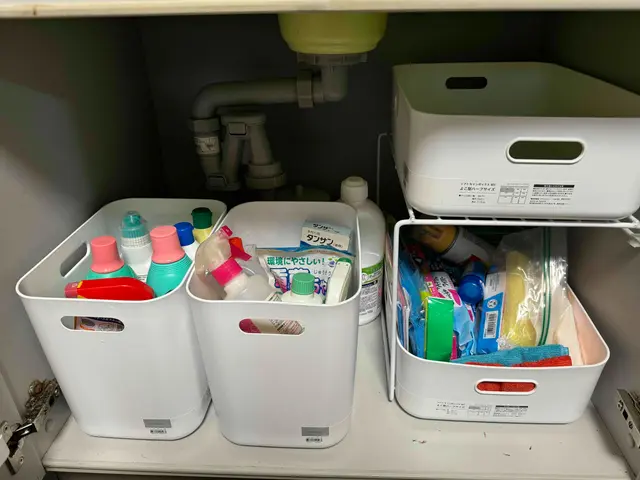 お片付けもらくだ♪心もらくだ♪らくだ収納　土日祝対応サービスの画像