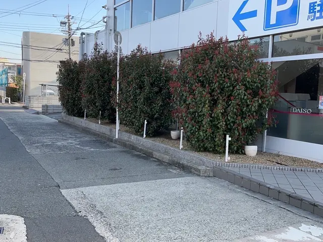 業歴15年◎1級造園技能士◎一本からでもOK!!アフターフォローも丁寧に対応！サービスの画像