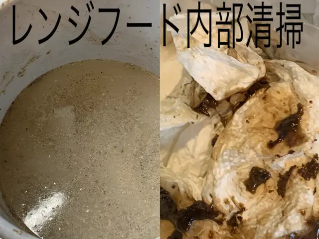 レンジフードクリーニング【分解洗浄】サービスの画像