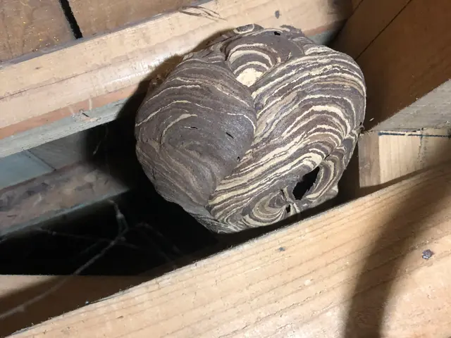 ＜地域密着◎栃木市発＞お客様の状況に合わせて丁寧で親身な対応を心掛けています！サービスの画像