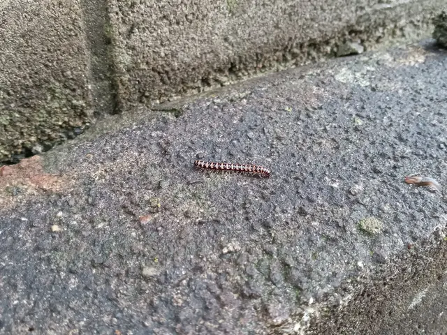 【業歴30年の経験と実績】年中無休◎駐車代お店負担◎営業時間外も対応OKサービスの画像