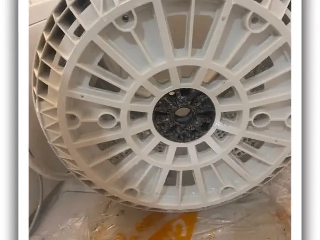 洗濯機クリーニング(縦型のみ)サービスの画像