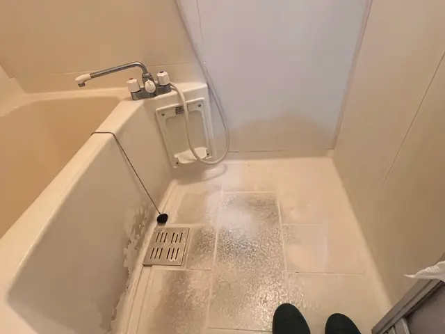 プロの技術でご満足いただけるように心を込めて作業いたしますサービスの画像