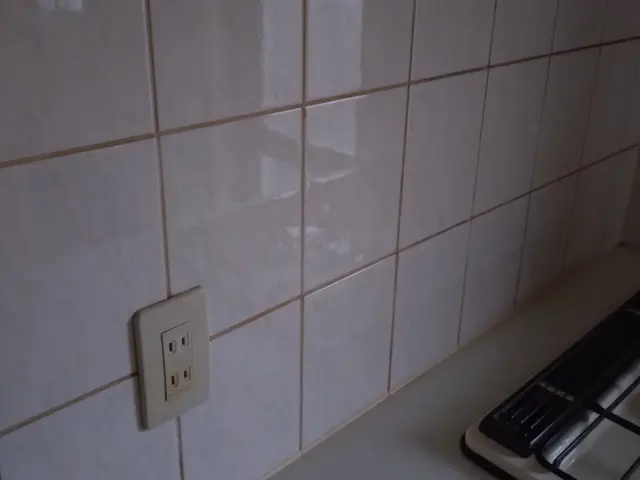 キッチン清掃作業サービスの画像