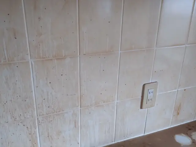 キッチン清掃作業サービスの画像