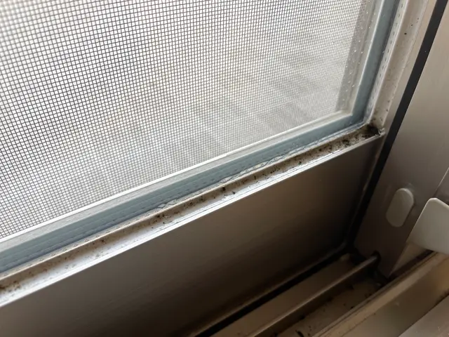 ✪ 期間限定！✪ 仕上がりに満足いただけない場合は全額ご返金いたしますサービスの画像