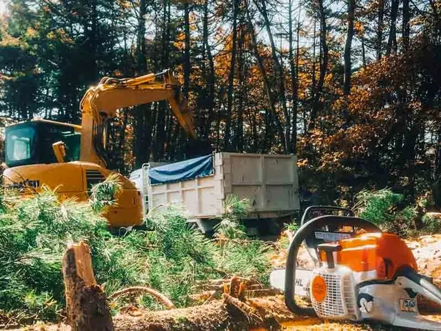 【損害保険加盟店】『特殊伐採承ります！』◉まずはお問い合わせください◉サービスの画像