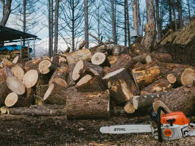 【損害保険加盟店】『特殊伐採承ります！』◉まずはお問い合わせください◉サービスの画像