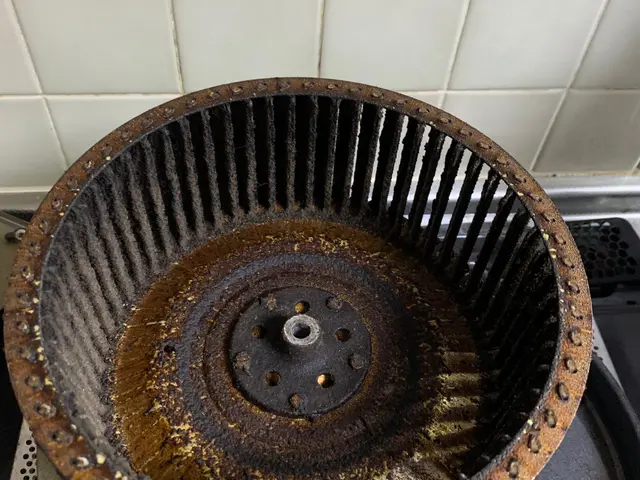 ハウスクリーニング歴20年！店長の私が責任を持って伺います！サービスの画像