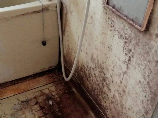 難しい汚れもおまかせください。ピカピカ宣言。迅速、スピーディ、やり直し修正無料サービスの画像