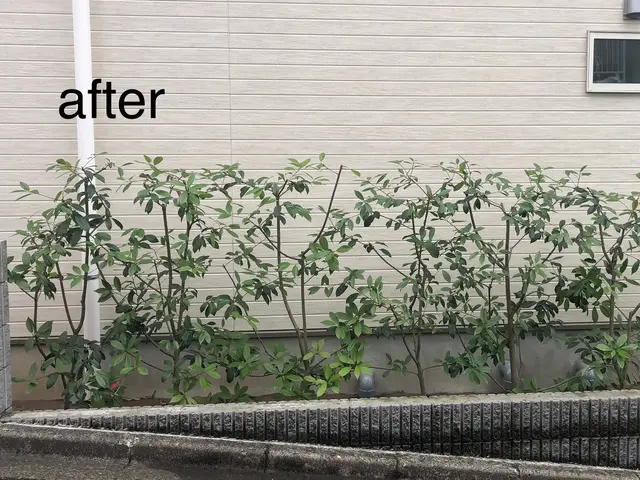 お客様のお困りごとに柔軟な対応と笑顔をお届けいたします。サービスの画像