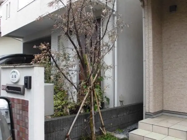 誠実さと迅速対応で、顧客満足度100％を目指します！お気軽にご相談ください！サービスの画像