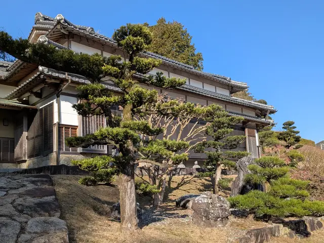 30年の実績と専門技術で美しい庭を実現！大手経験者による丁寧作業をお約束サービスの画像