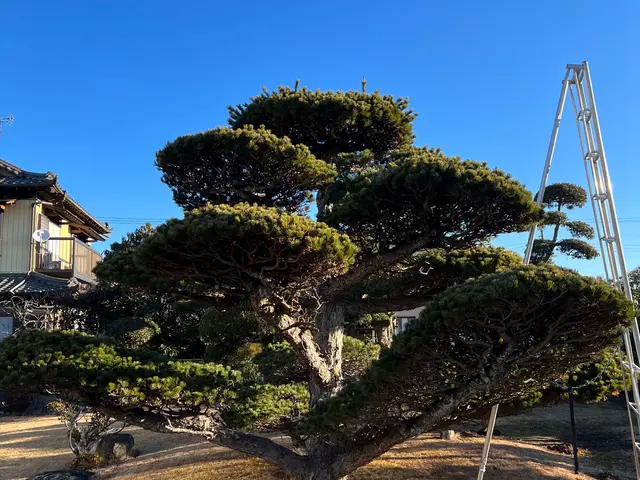 100％自社対応◎対象地域外・営業時間外もご相談歓迎！サービスの画像