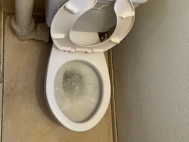 ★2025年1月開業店舗★尿石の黄ばみ、黒ずみ完全に落とします！サービスの画像