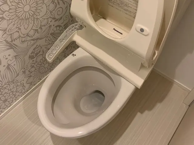 ★2025年1月開業店舗★尿石の黄ばみ、黒ずみ完全に落とします！サービスの画像