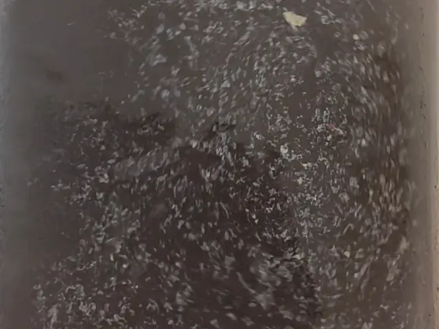 ☆見えない配管内には皮脂などの湯垢や入浴剤の腐食物、雑菌類が沢山潜んでますよ！サービスの画像