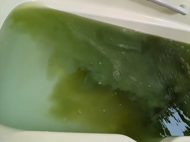 ☆見えない配管内には皮脂などの湯垢や入浴剤の腐食物、雑菌類が沢山潜んでますよ！サービスの画像