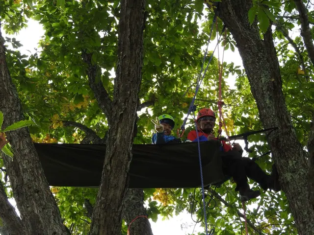 25年の経験が生み出す、美しい庭園の芸術サービスの画像