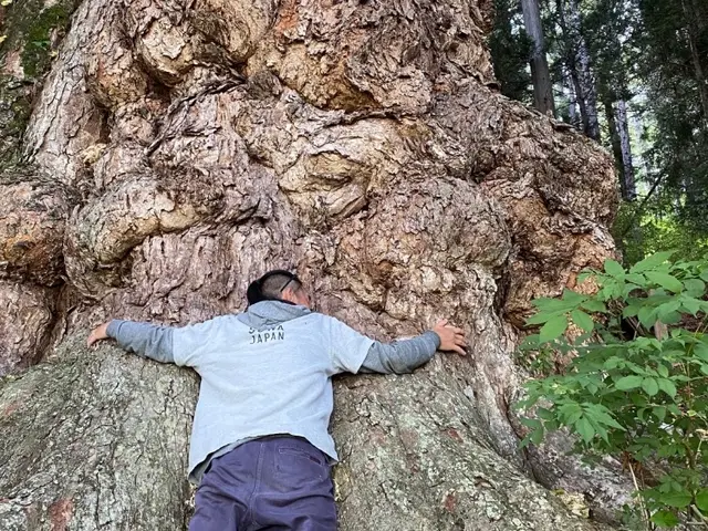 25年の経験が生み出す、美しい庭園の芸術サービスの画像