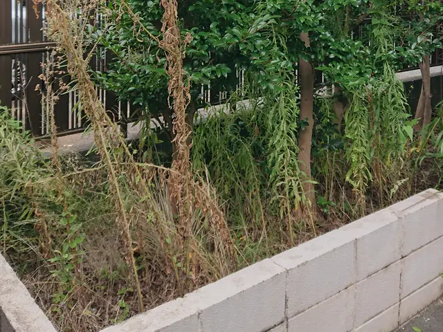 手作業による草むしりです。ごみ回収費込みの料金です。サービスの画像