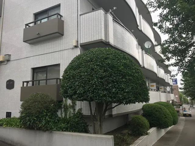 ◎PayPayOK◎チャットで写真見積り◎気難しい植木屋ではございませんサービスの画像