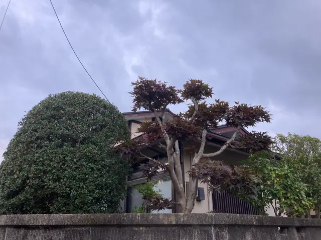 ◎PayPayOK◎チャットで写真見積り◎気難しい植木屋ではございませんサービスの画像