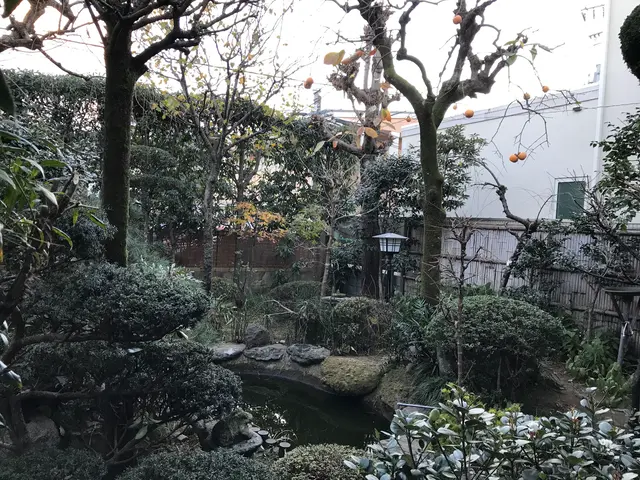 ◎PayPayOK◎チャットで写真見積り◎気難しい植木屋ではございませんサービスの画像