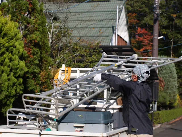 ◎PayPayOK◎チャットで写真見積り◎気難しい植木屋ではございませんサービスの画像