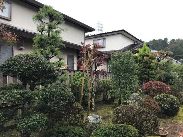 ◎PayPayOK◎チャットで写真見積り◎気難しい植木屋ではございませんサービスの画像