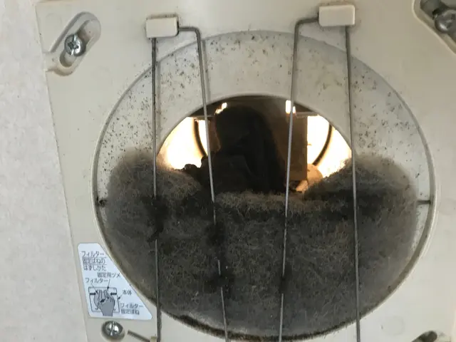 ★✩くらしのマーケットのコウモリ駆除の作業実績100件以上★✩見積無料サービスの画像