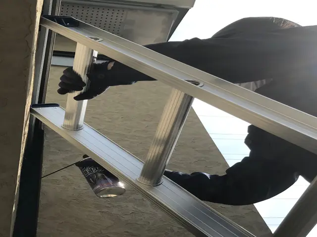 ★✩くらしのマーケットのコウモリ駆除の作業実績100件以上★✩見積無料サービスの画像