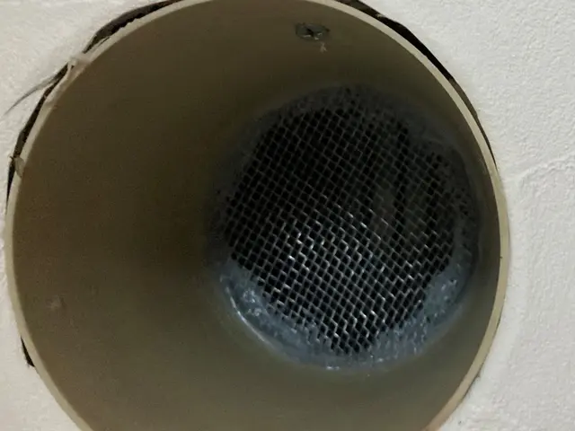 ★✩くらしのマーケットのコウモリ駆除の作業実績100件以上★✩見積無料サービスの画像