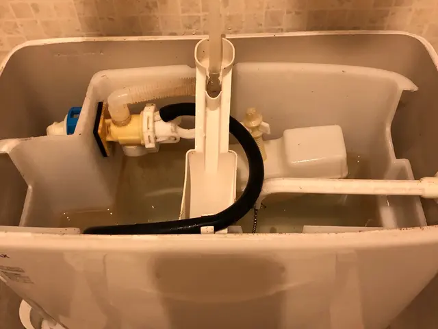 【経験24年の実績】ペット赤ちゃん◎コロナ対策強化中◎クレジット可◎サービスの画像