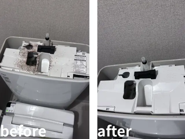 【経験24年の実績】ペット赤ちゃん◎コロナ対策強化中◎クレジット可◎サービスの画像