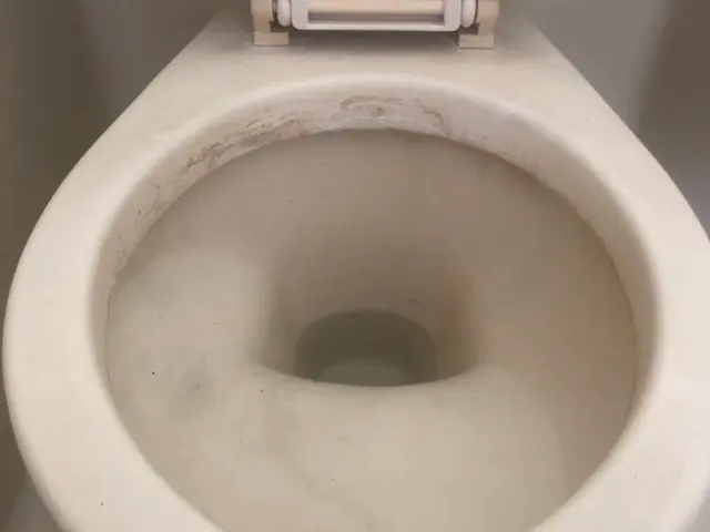 【経験24年の実績】ペット赤ちゃん◎コロナ対策強化中◎クレジット可◎サービスの画像