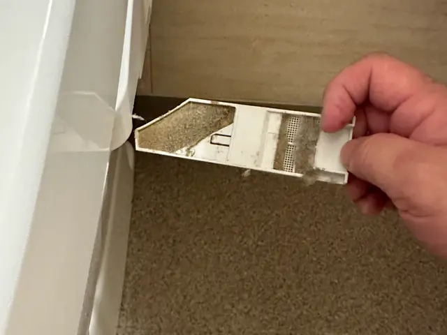 【経験24年の実績】ペット赤ちゃん◎コロナ対策強化中◎クレジット可◎サービスの画像