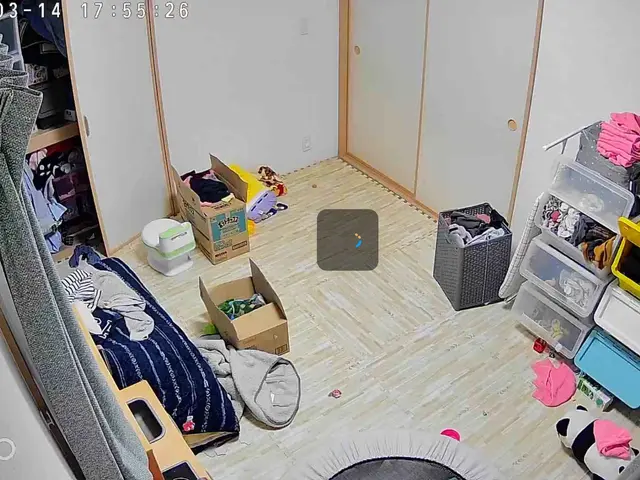 ペットや子どもを見守る 見守りカメラ設置 接続設定サービスの画像