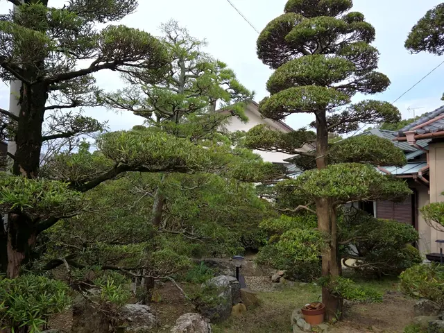 10年以上の経験と500件以上の作業実績！お客様に庭木の美化をお届けサービスの画像