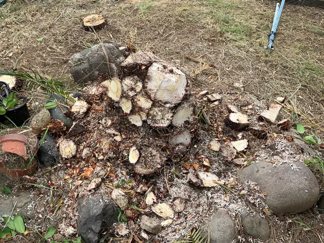 ◎年中無休◎大手業務経験豊富◎営業時間外も対応可能◎アフターフォローも万全サービスの画像