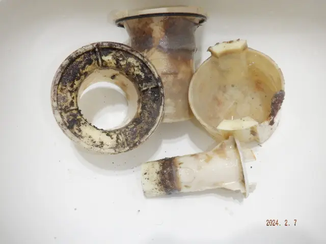 ＊詰り抜きも追加料金無し＊＊作業保証は1年間付きです＊＊屋内外全て奇麗にします＊サービスの画像