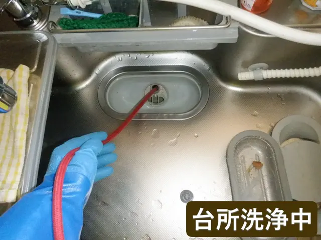 【追加料金一切なし】【緊急対応も可】業務用エンジン式高圧洗浄機で屋内外全て洗浄サービスの画像