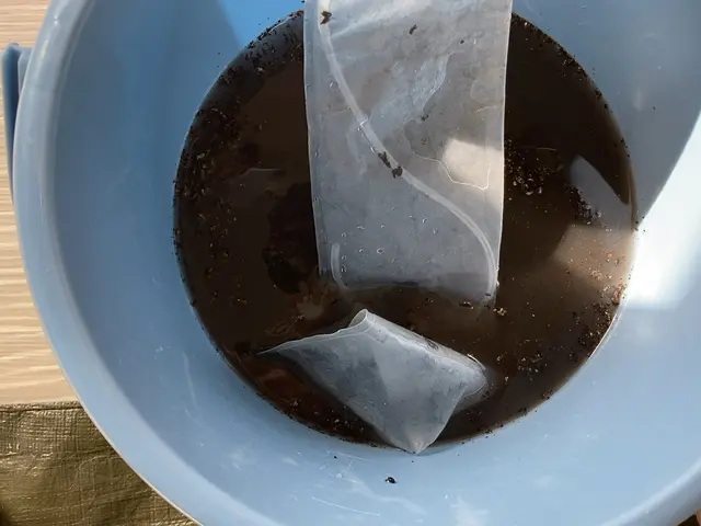 ◆ていねいな作業で大高評◆夫婦でお伺い◆エコ洗剤◆ハウスクリーニング協会会員◆サービスの画像