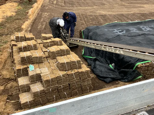 キャンプ場やスタジオなどを手掛けるプロがあなたのお庭もしっかり作業！サービスの画像