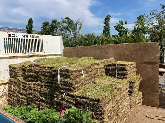 キャンプ場やスタジオなどを手掛けるプロがあなたのお庭もしっかり作業！サービスの画像